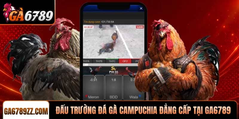 Đấu trường Đá gà Campuchia đẳng cấp tại hệ thống GA6789