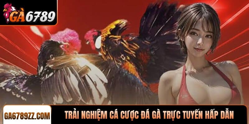 Trải nghiệm cá cược đá gà trực tuyến hấp dẫn