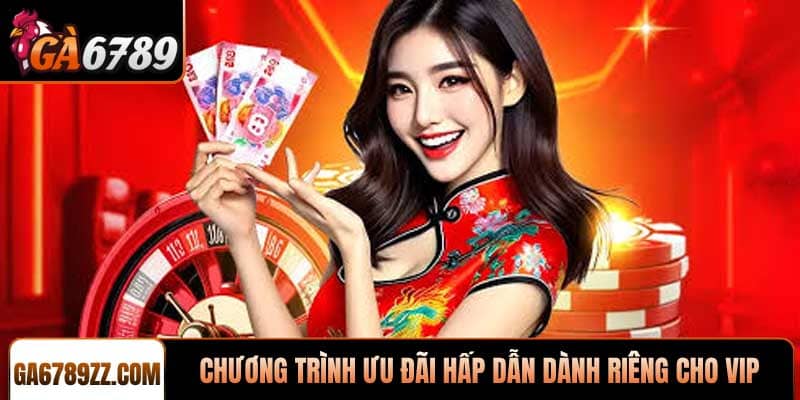 Chương trình ưu đãi hấp dẫn dành riêng cho VIP
