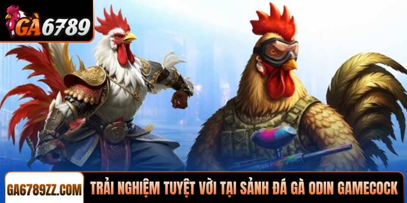 Trải nghiệm tuyệt vời tại Sảnh đá gà ODIN Gamecock chuyên nghiệp
